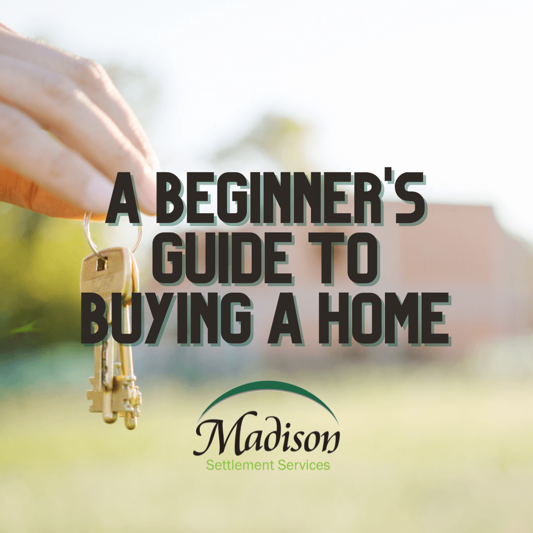 beginner's guide to buying a home