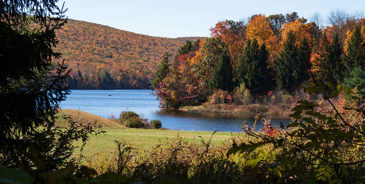 Madison Settlement Services